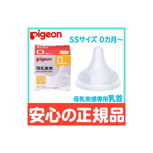 sW  p V SSTCY 1 pigeon  ֓