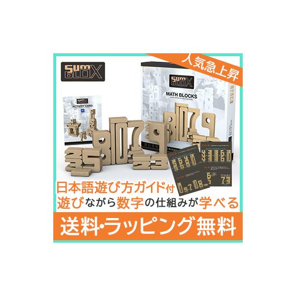 知育玩具 サムブロックス ベーシックセット Sumblox 43ピース +