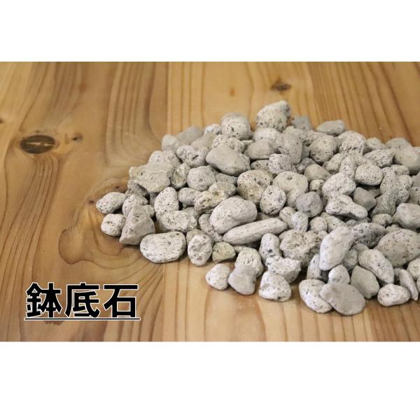 鉢やプランターの底に敷き詰めるための鉢底石です。多孔質な軽石なので排水性や通気性をアップさせて、根腐れを防止できます。【内容量】500g（約1L）土の量に対して1割〜2割程度ご使用ください。【サイズ】2cm前後※ サイズは多少のバラツキがご...