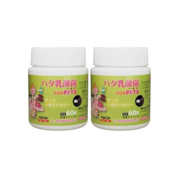 LCH ハタ乳酸菌 FOR PETS 60g入り 2個セット 計量スプーン付