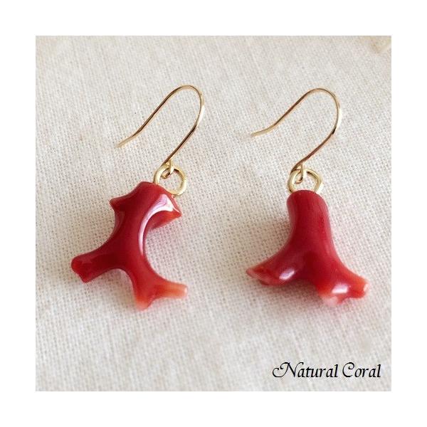 血赤珊瑚 ちあかさんご サンゴ ピアス 枝 K18 ナチュラルコーラル D Buyee Buyee 日本の通販商品 オークションの代理入札 代理購入