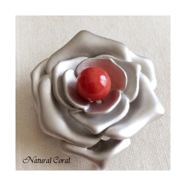 ԎX  u[`  KNfUC i`R[