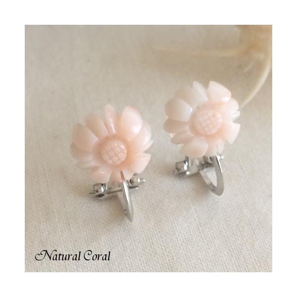 sNX ҂񂭂 TS CO  i`R[