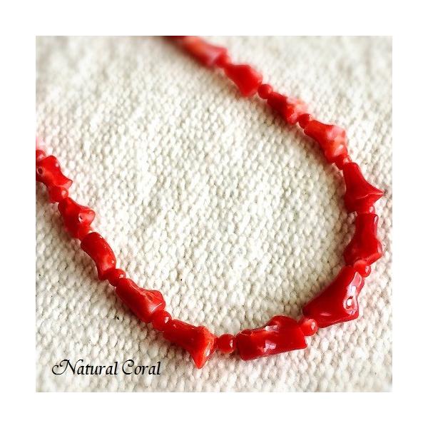 ԎX  TS lbNX }  i`R[ A