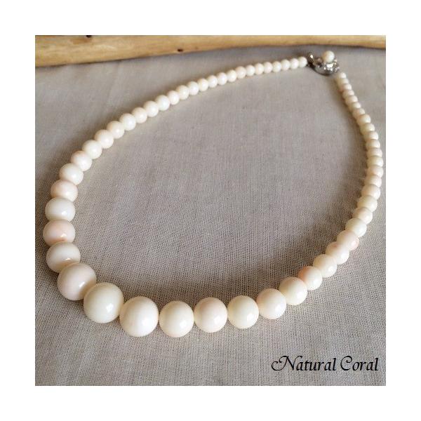 naturalcoral_n24 naturalcoral_n24