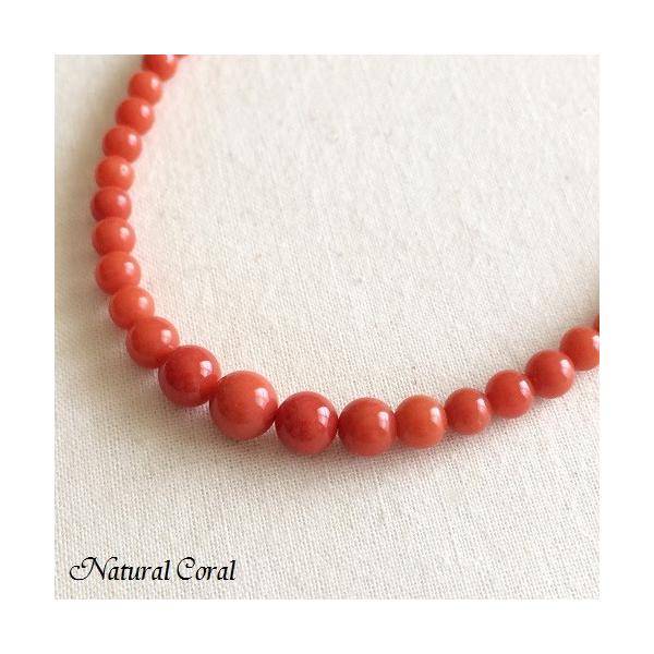 ԎX  TS lbNX  K18 i`R[ 