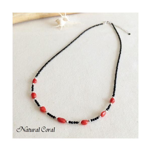 ԎX  TS lbNX ێ} i`R[