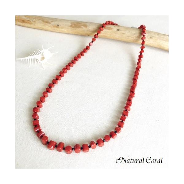 ԎX  TS lbNX ی^ IjLX i`R[ 