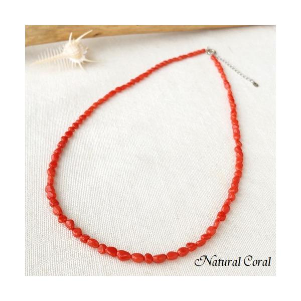 ԎX AJTS lbNX ێ} i`R[ 