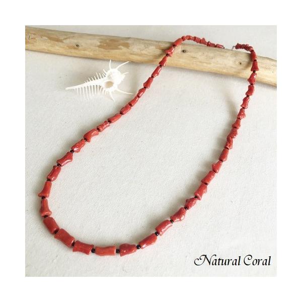 ԎX  lbNX } IjLX i`R[ 