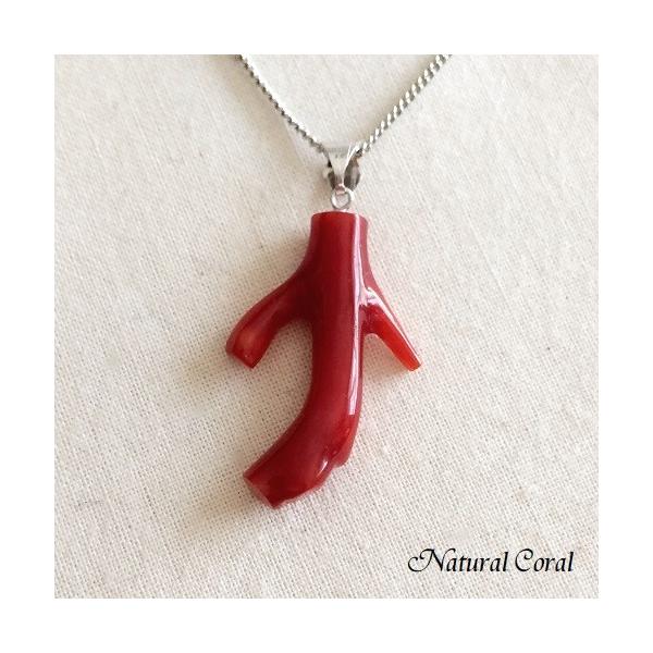 ԎX  y_g } ZF  i`R[ B