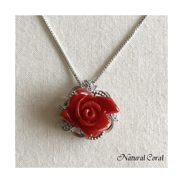 ԎX  y_g lbNX KN i`R[