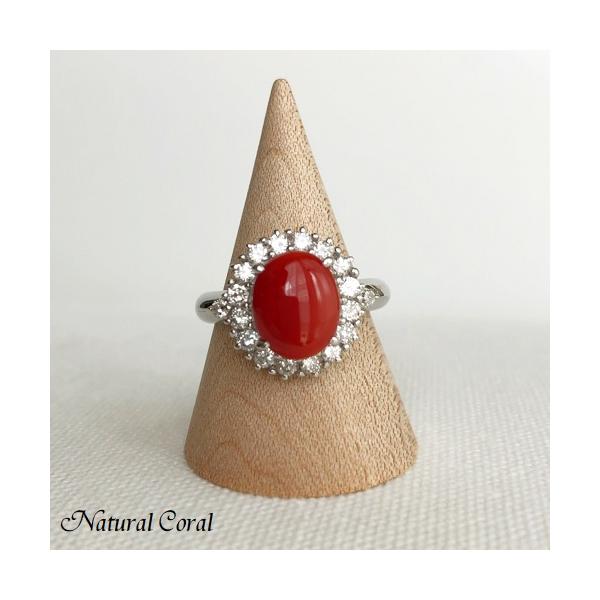 ԎX  O I[o _C Pt i`R[