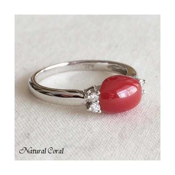 ԎX  O ͂ߍ _C Pt i`R[