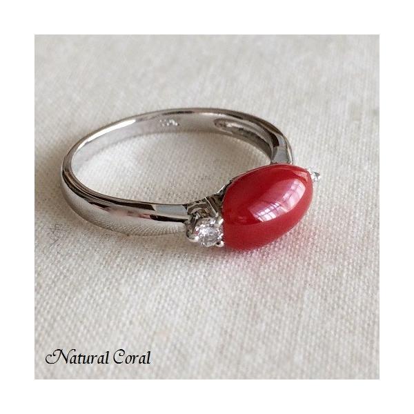 ԎX  O ͂ߍ _C Pt i`R[