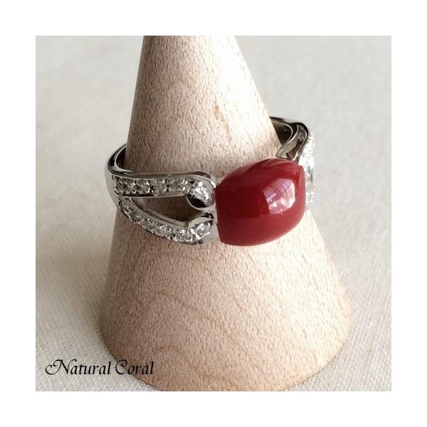 ԎX  O ͂ߍ _C Pt i`R[