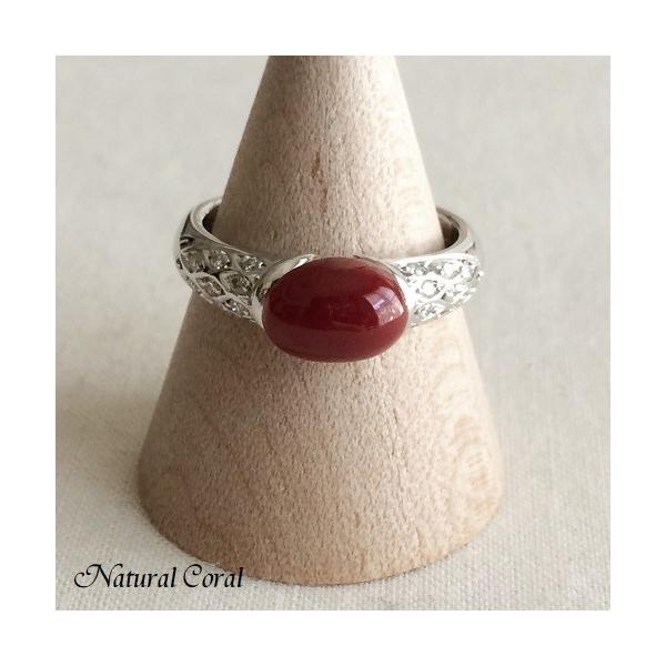 ԎX  O ͂ߍ _C Pt i`R[