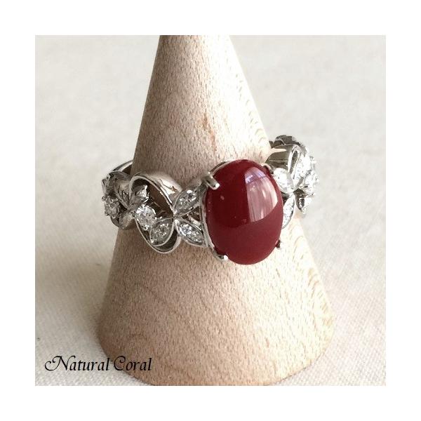 ԎX  O ȉ~ _C Pt i`R[