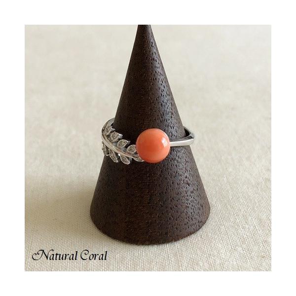 sNX ҂񂭂 TS O t Vo[ i`R[