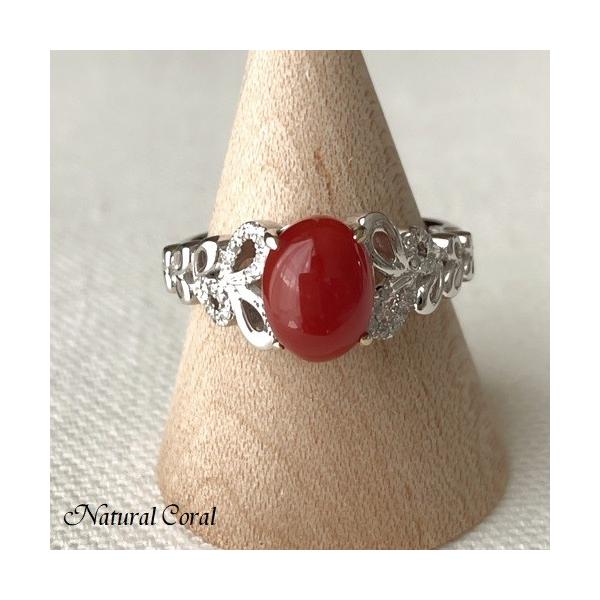 ԎX  O ȉ~ _C WG i`R[