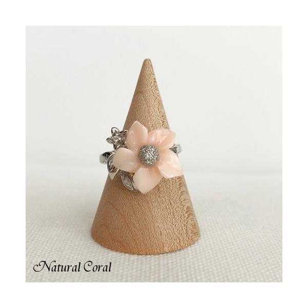 sNX ҂񂭂 TS O  WG _C i`R[