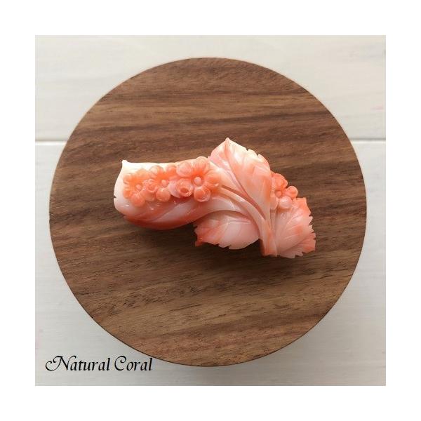 sNX ҂񂭂 u[`  i`R[ 