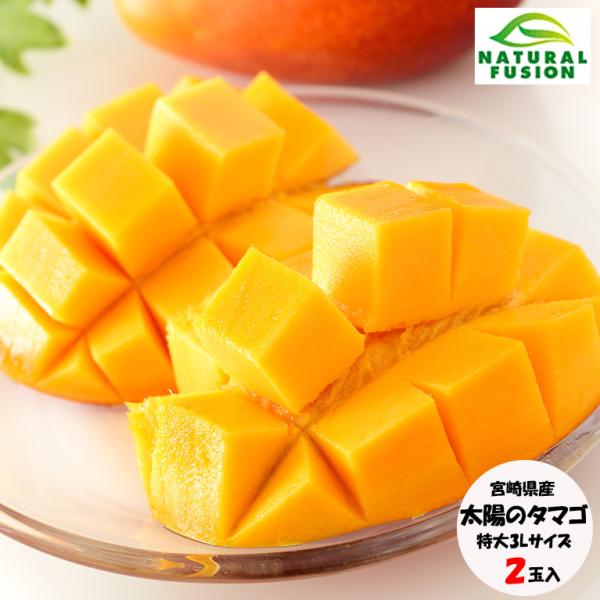 宮崎完熟マンゴー 太陽のタマゴ 特大3Lサイズ2玉 化粧箱入 クール便で