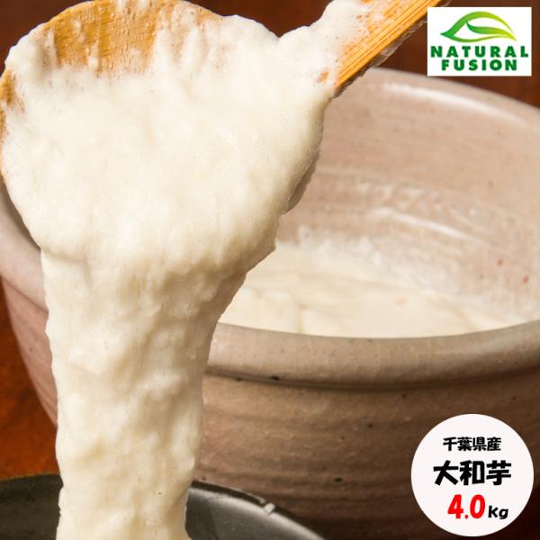 ★su★　やまと芋　新物　25kg　産地直送　多古町産　土付き　種芋 naturalfusionshop_yamatoimo-a4kg