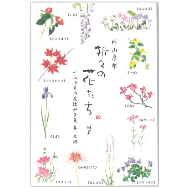 【 ご注意：ご購入後の当店からのメールを必ずご確認ください 】【商品概要】【サイズ】0.5cm×10cm×14.6cm【内容】12柄計12枚綴【その他】野の花を描く水彩画家外山康雄さんの作品をモチーフにしたはがき箋。十二ヶ月の花柄が1枚ずつ...