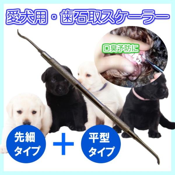 犬用ペットグッズ スケーラー 犬用品の人気商品 通販 価格比較 価格 Com