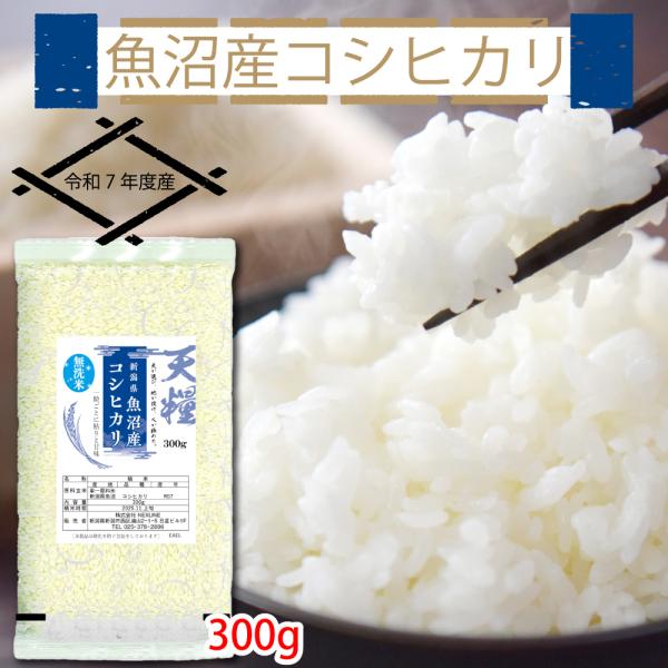 お試し価格 1000円ポッキリ 令和7年 魚沼産 コシヒカリ ポイント消化 300g 無洗米 送料無料 新潟 一等米 天糧 米 2合 4合 6合 こしひかり 喰王 がおう