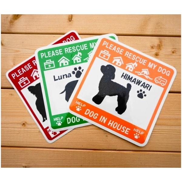 naturalzone_emagency-2