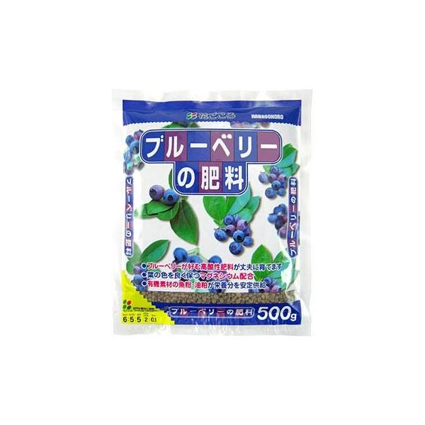 ブルーベリー 500g Diy 工具の人気商品 通販 価格比較 価格 Com