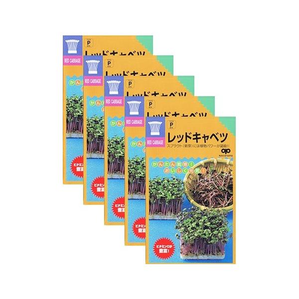 yz XvEg bhLxc@5܃ZbgiEX֔zij