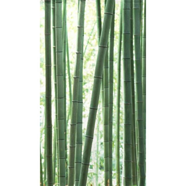 のれん工房 コスモ のれん 竹 実写 白 約85cm×約150cm (91053)