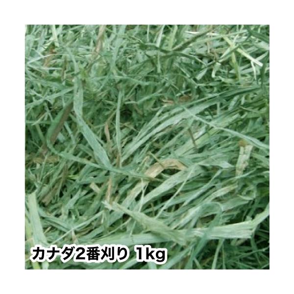 【あすつく】 【送料無料】 カナダ産 チモシー 2番刈/二番刈り 1kg