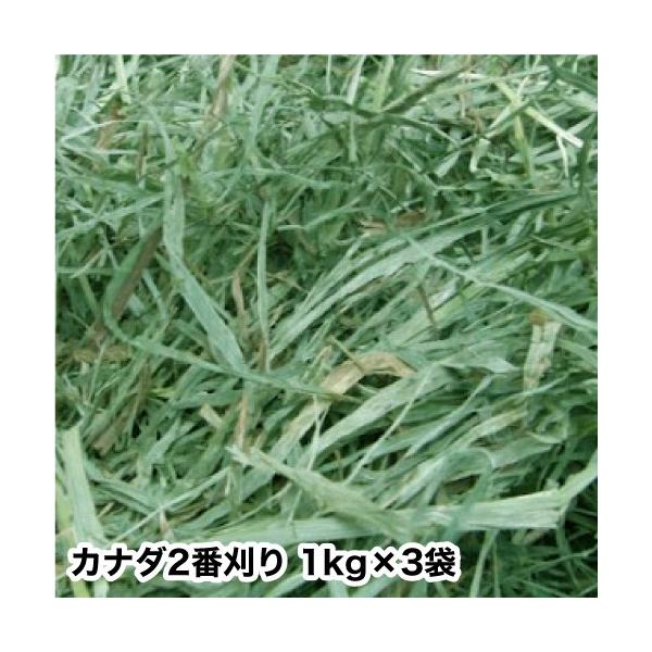 お昼12時までのご注文で当日発送いたします。（店休日を除く）