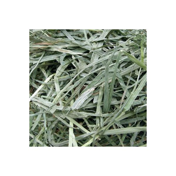 Ji_Ԋ`V[ @5kg@AbgA``AeO[ @yRCPzy@q@`V[@iz