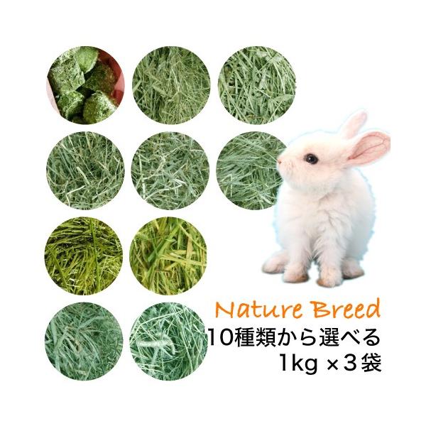 naturebreed_cpp1-1k3scopy