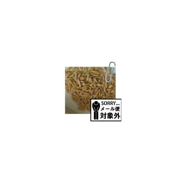 񔞁ikj250gG[WXX^hpbN@@bg@``@eO[̂ @yRCPz