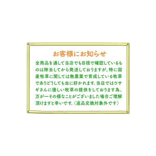 りんごペレットダイエット100g うさぎ モルモット チンチラ テグーのおやつ うさぎ 低カロリー アップルペレット Buyee Buyee Japanese Proxy Service Buy From Japan Bot Online