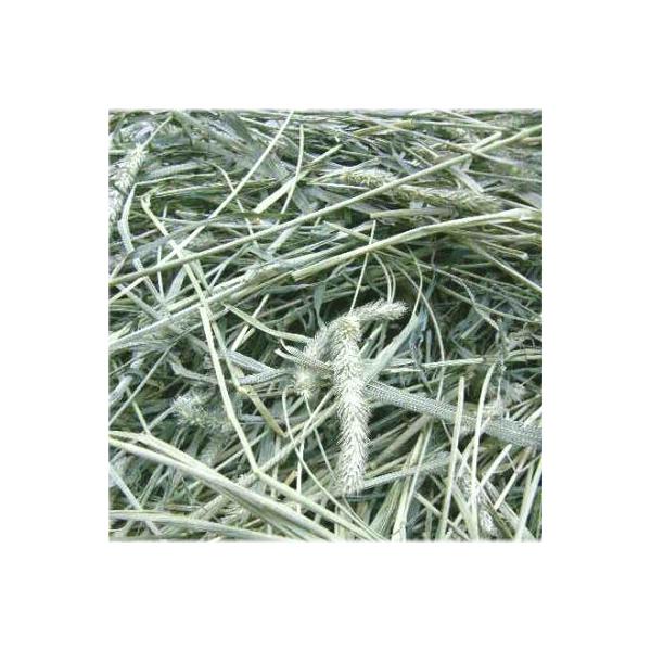 2023年の新刈りが入荷いたしました。 緑の濃い香りのいい新鮮な牧草です。 1kg入りの牧草が5つ入で送料無料！（北海道沖縄以外）北海道・沖縄だけ別途送料差額800円申し受けます。 自動計算では送料無料になりますが、後ほど手動で送料加算させ...