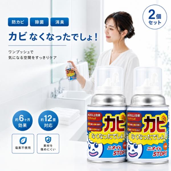 カビなくなったでしょ SK-2800 清潔に保つ スプレー 200ml ×2個セット 12畳 エアゾール ワンプッシュ 塩素不使用 浴室 お風呂