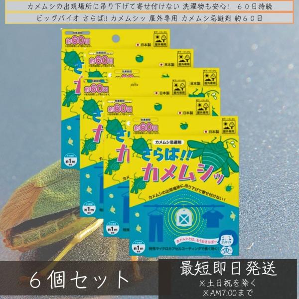 ビッグバイオ屋外専用 カメムシ忌避剤 約60日 ×6個セット 寄せ付けない カメムシ対策 カメムシ剤 吊り下げる 長く 長持ち 虫よけ ベランダ 玄関