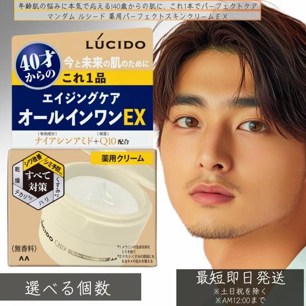 マンダム ルシード パーフェクトスキンクリームEX 40才からの オールインワンEX 90g 無香料 メンズ オールインワン 40代 メンズ スキン