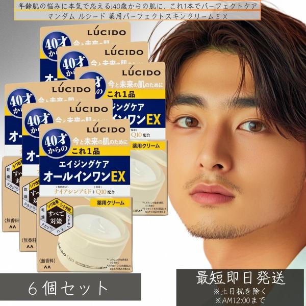 マンダム ルシード パーフェクトスキンクリームEX 40才からの オールインワンEX 90g ×6個セット 無香料 メンズ オールインワン 40代