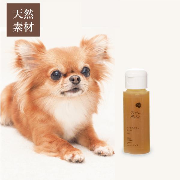 ペッツメルトジェル Pet's Melt 48g ペット用サプリメント 犬 乳酸菌
