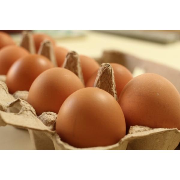 ※ご注文前に必ずお読みください。○毎週木曜日をご注文の締め切り日とさせていただき、翌週の木曜日に出荷いたします。（銀行振込のお客様はご入金日が締切日となります。例）入金日が金曜日→翌週木曜日の出荷）○３月〜11月：クール便での発送となります...