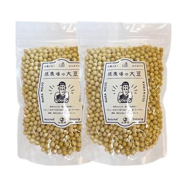 [メール便送料無料] 自然栽培　原農場の大豆　400g　２袋セット　九州産　熊本県産　ふくゆたか　４０年以上無農薬・化学肥料不使用　自然栽培