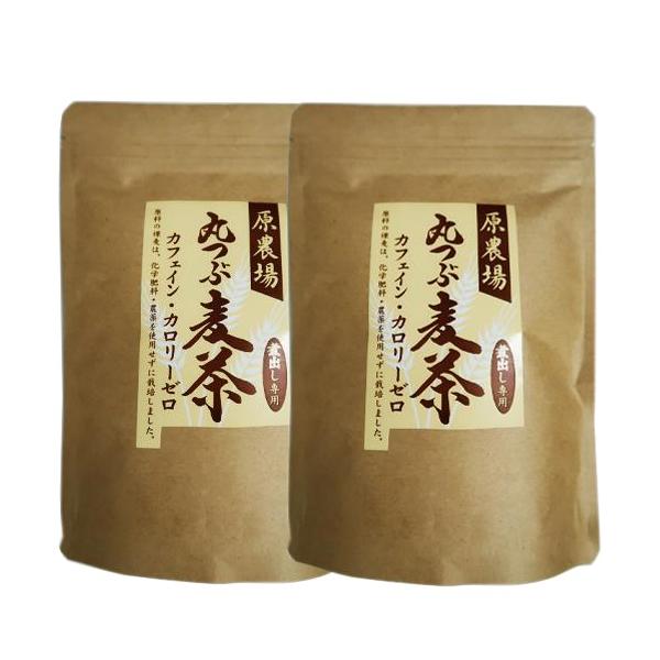 [メール便送料無料] お徳用サイズ 原農場の丸つぶ麦茶　240g(20g×12袋) ２袋セット 熊本県産無農薬 九州産　ハダカムギ　裸麦